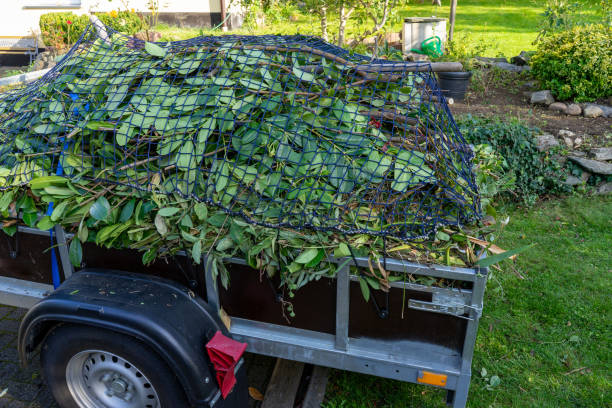 Best Hoarding Cleanup  in Foster City, CA